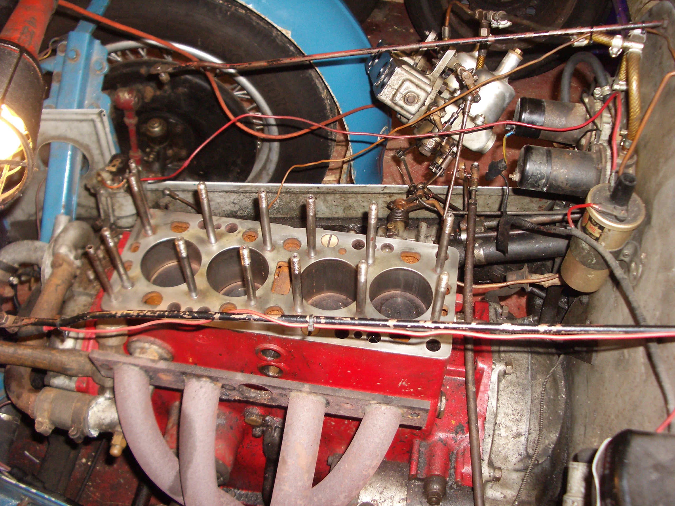 IMGP3497.jpg
