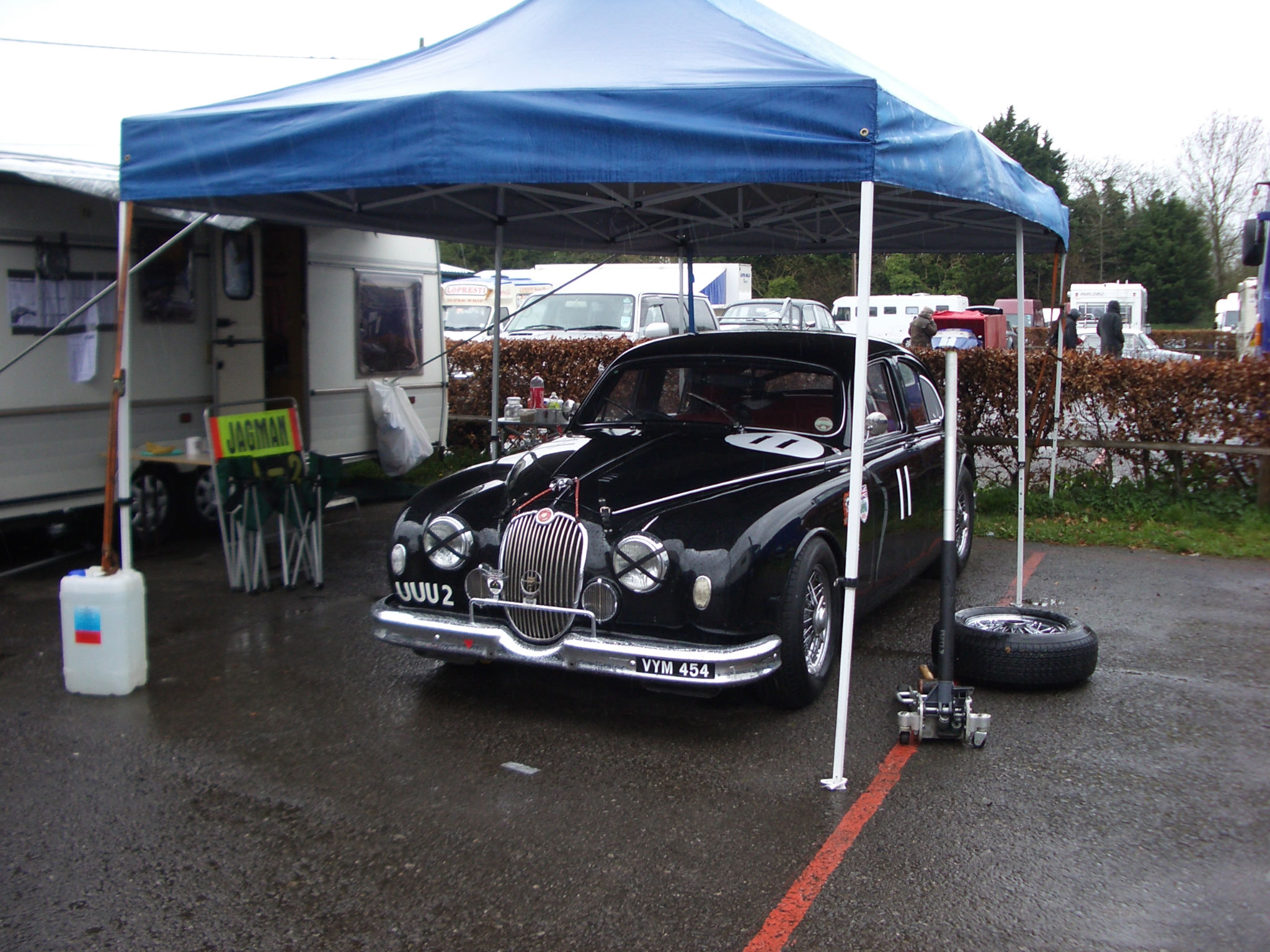 IMGP3506.jpg