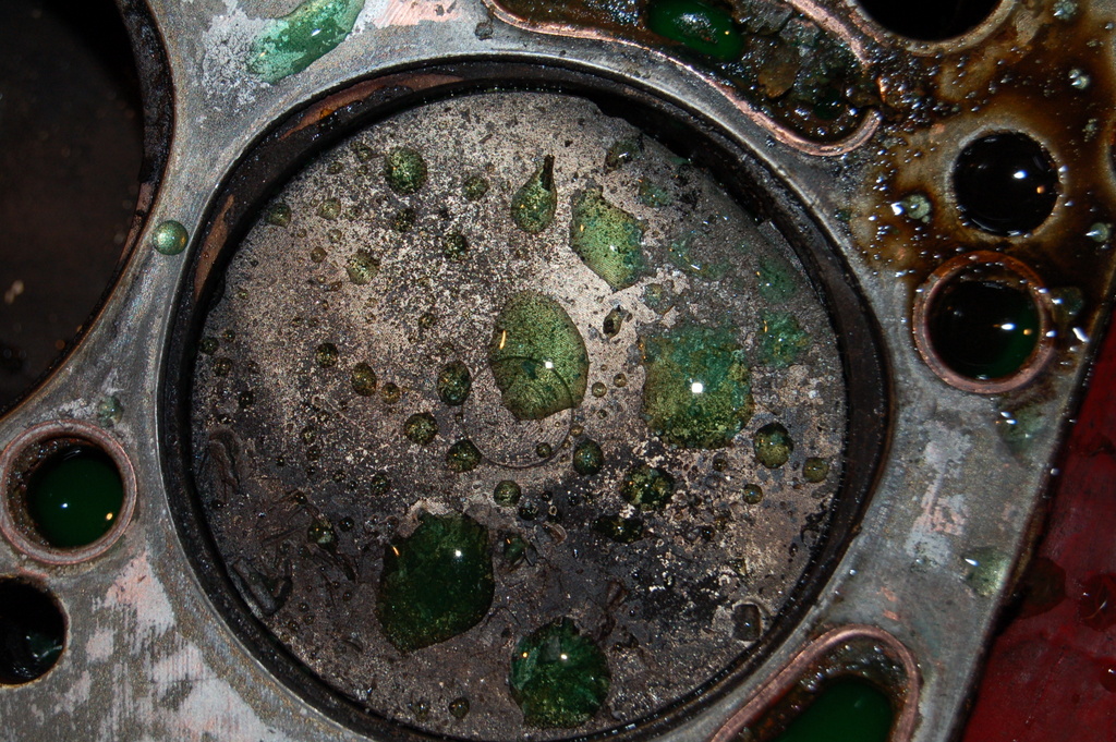 1-DSC_1217.JPG